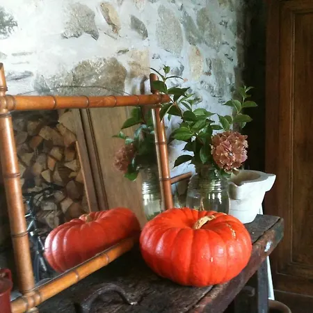 Bed & Breakfast Chambres D'hotes Maison Cadet 3*