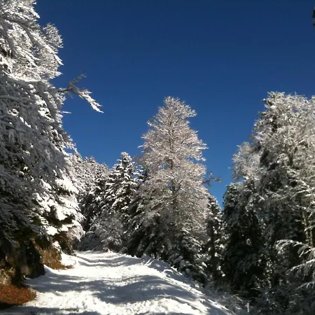 Bed & Breakfast Chambres D'hotes Maison Cadet 3*